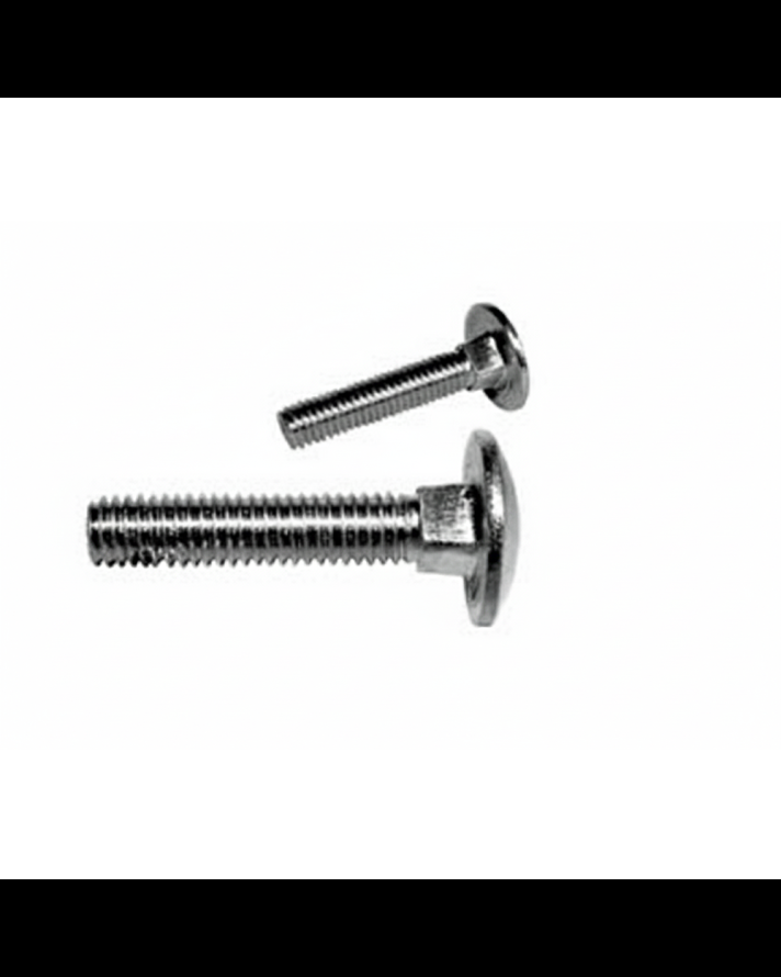CARRIAGE BOLTS