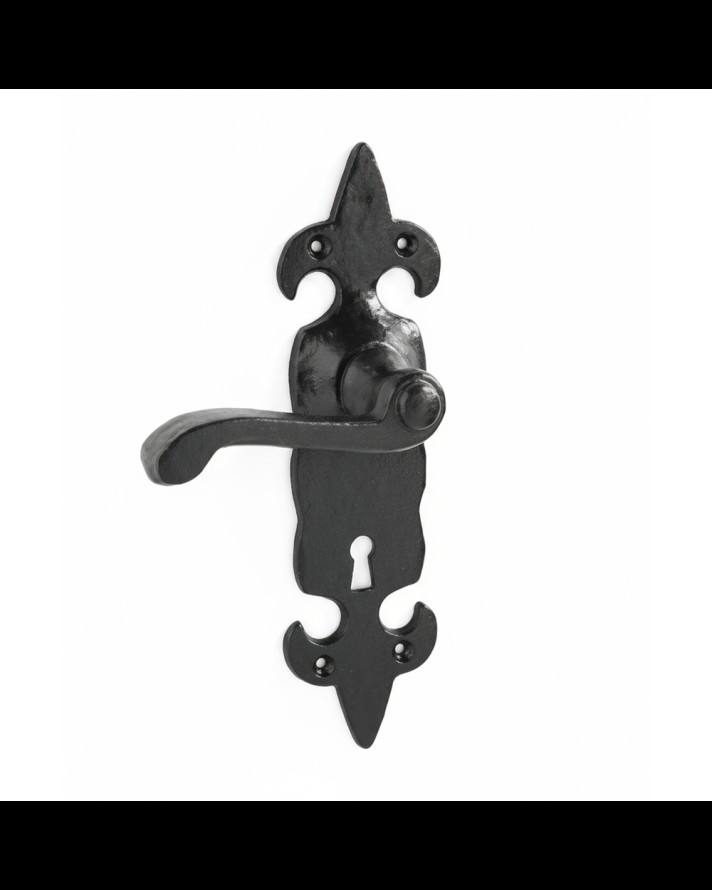 FLEUR-DE-LEYS LOCK HANDLES