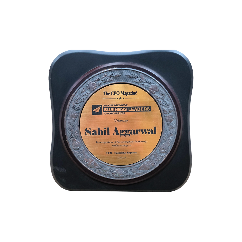 Digital governance push with online fellowships and learning platforms.